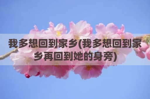 我多想回到家乡(我多想回到家乡再回到她的身旁)