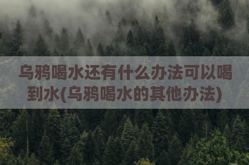 乌鸦喝水还有什么办法可以喝到水(乌鸦喝水的其他办法)