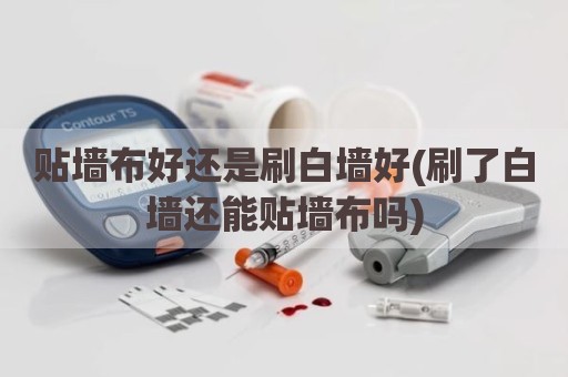 贴墙布好还是刷白墙好(刷了白墙还能贴墙布吗)