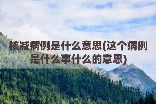 核减病例是什么意思(这个病例是什么事什么的意思)