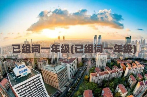 已组词一年级(已组词一年级)