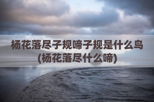 杨花落尽子规啼子规是什么鸟(杨花落尽什么啼)