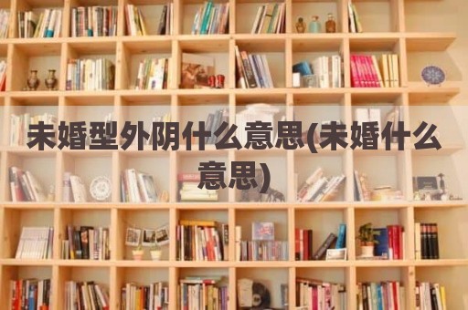 未婚型外阴什么意思(未婚什么意思)