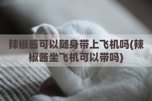 辣椒酱可以随身带上飞机吗(辣椒酱坐飞机可以带吗)