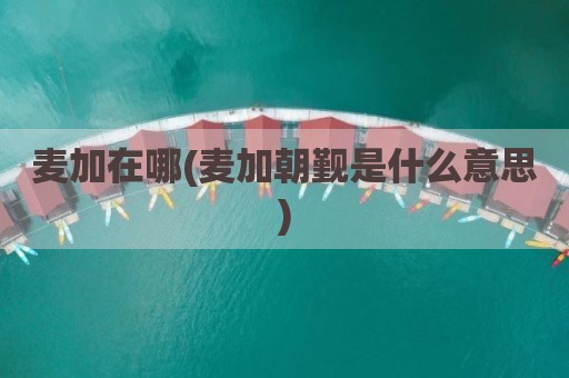麦加在哪(麦加朝觐是什么意思)