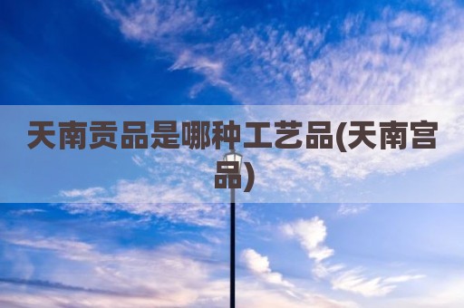 天南贡品是哪种工艺品(天南宫品)