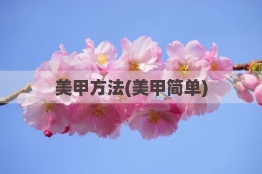 美甲方法(美甲简单)
