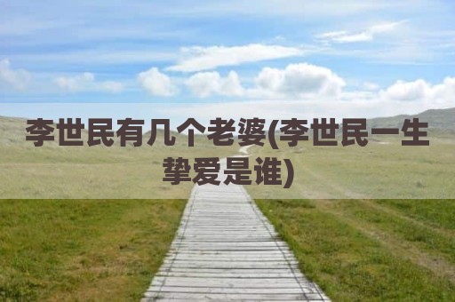 李世民有几个老婆(李世民一生挚爱是谁)