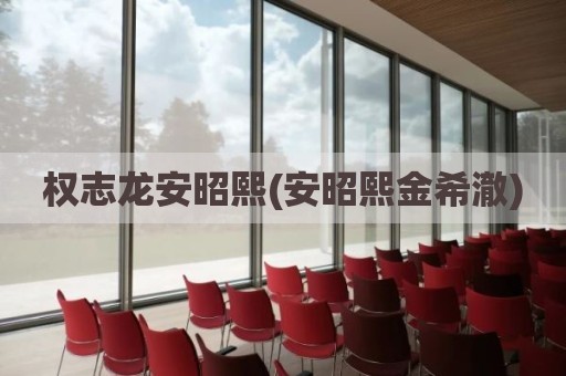 权志龙安昭熙(安昭熙金希澈)