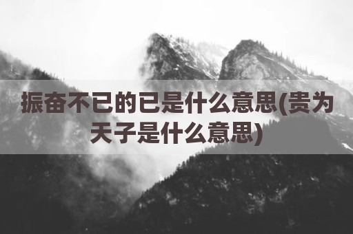 振奋不已的已是什么意思(贵为天子是什么意思)