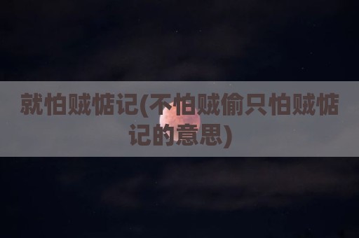 就怕贼惦记(不怕贼偷只怕贼惦记的意思)