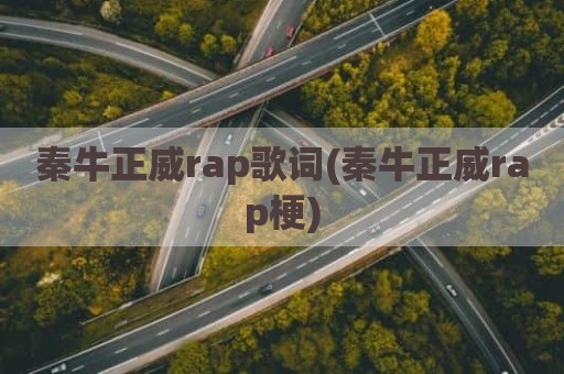 秦牛正威rap歌词(秦牛正威rap梗)