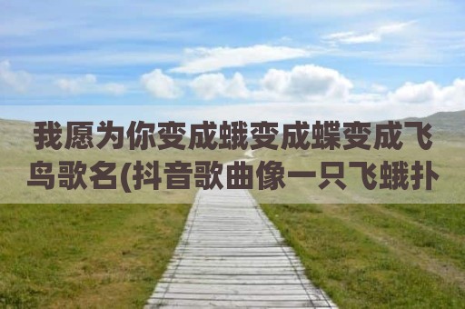 我愿为你变成蛾变成蝶变成飞鸟歌名(抖音歌曲像一只飞蛾扑火)