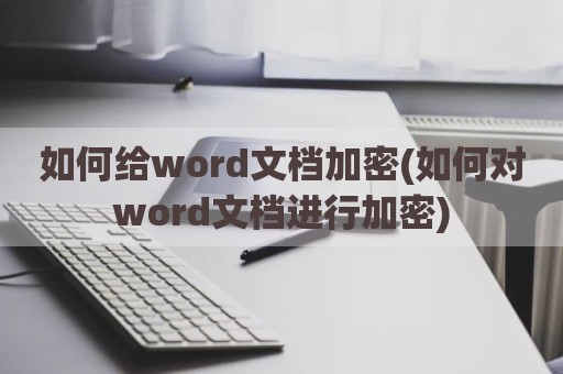 如何给word文档加密(如何对word文档进行加密)