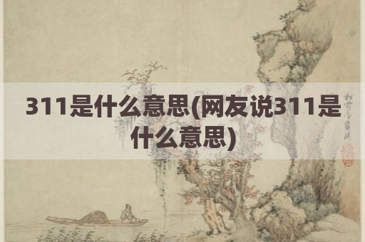 311是什么意思(网友说311是什么意思)
