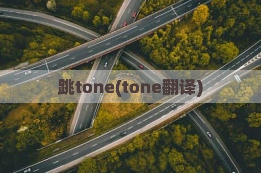 跳tone(tone翻译)