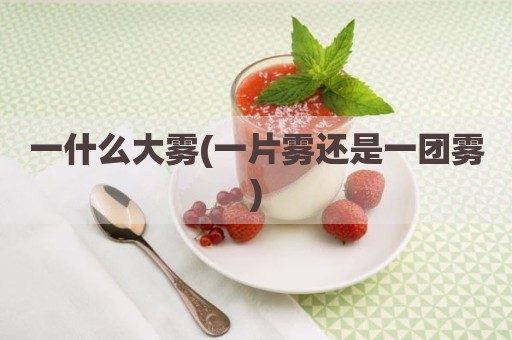 一什么大雾(一片雾还是一团雾)