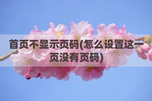 首页不显示页码(怎么设置这一页没有页码)