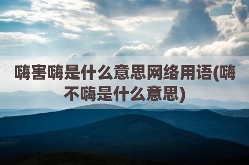 嗨害嗨是什么意思网络用语(嗨不嗨是什么意思)