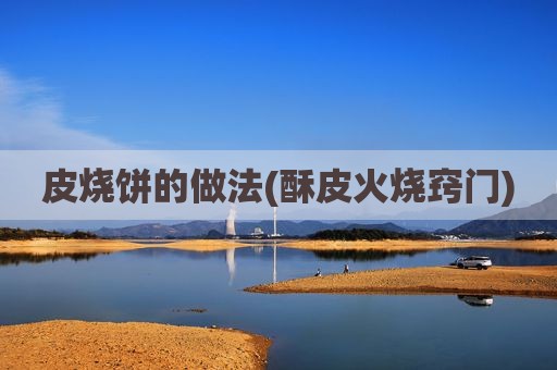 皮烧饼的做法(酥皮火烧窍门)