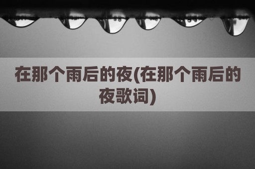 在那个雨后的夜(在那个雨后的夜歌词)