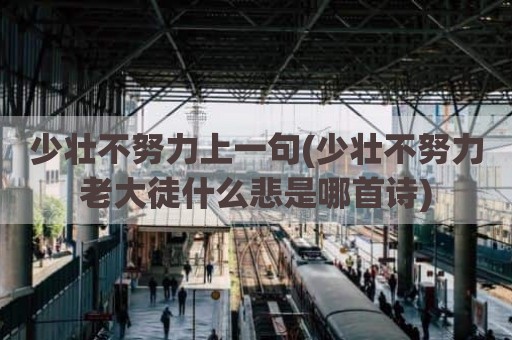 少壮不努力上一句(少壮不努力老大徒什么悲是哪首诗)