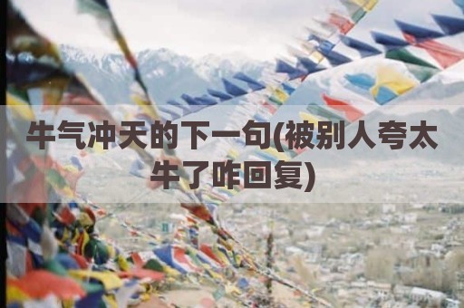 牛气冲天的下一句(被别人夸太牛了咋回复)