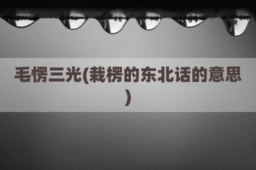 毛愣三光(栽楞的东北话的意思)