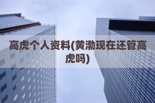 高虎个人资料(黄渤现在还管高虎吗)