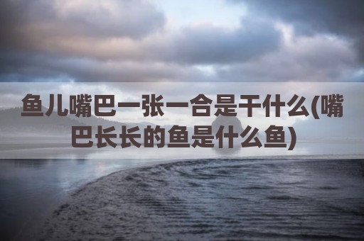 鱼儿嘴巴一张一合是干什么(嘴巴长长的鱼是什么鱼)