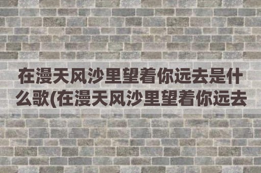 在漫天风沙里望着你远去是什么歌(在漫天风沙里望着你远去是什么歌)