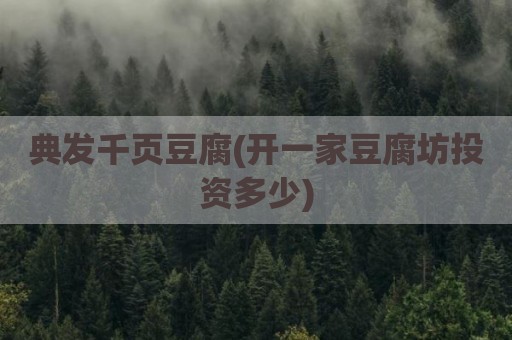 典发千页豆腐(开一家豆腐坊投资多少)