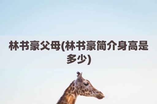 林书豪父母(林书豪简介身高是多少)