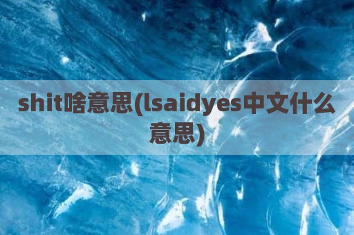 shit啥意思(lsaidyes中文什么意思)