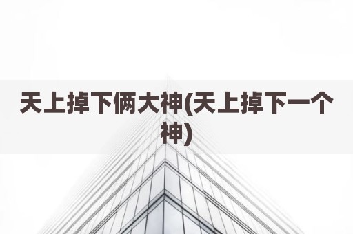 天上掉下俩大神(天上掉下一个神)