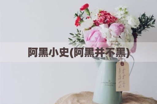 阿黑小史(阿黑并不黑)