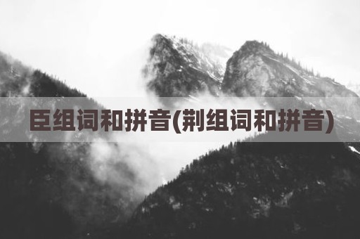 臣组词和拼音(荆组词和拼音)