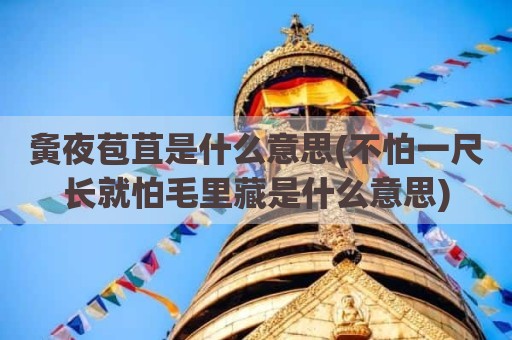 夤夜苞苴是什么意思(不怕一尺长就怕毛里藏是什么意思)