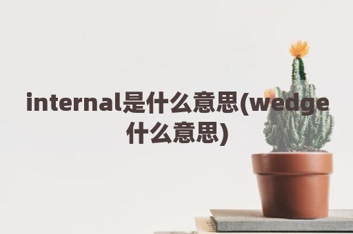 internal是什么意思(wedge什么意思)