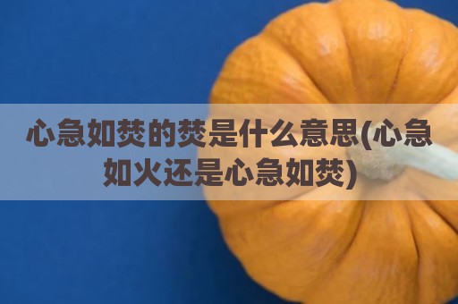 心急如焚的焚是什么意思(心急如火还是心急如焚)