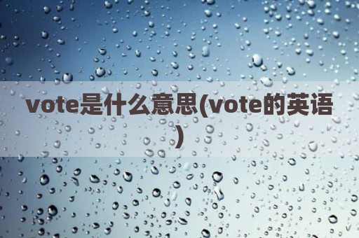 vote是什么意思(vote的英语)