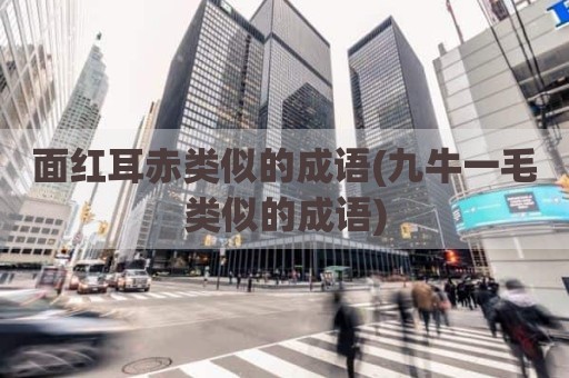 面红耳赤类似的成语(九牛一毛类似的成语)