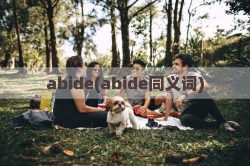 abide(abide同义词)