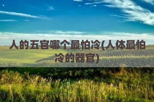 人的五官哪个最怕冷(人体最怕冷的器官)