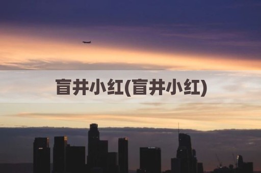 盲井小红(盲井小红)