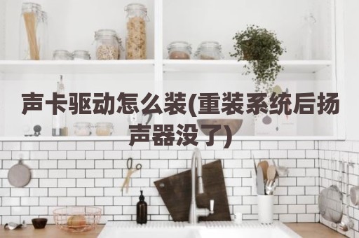 声卡驱动怎么装(重装系统后扬声器没了)