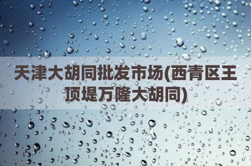 天津大胡同批发市场(西青区王顶堤万隆大胡同)