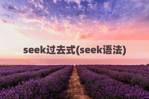 seek过去式(seek语法)