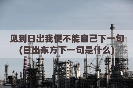见到日出我便不能自己下一句(日出东方下一句是什么)