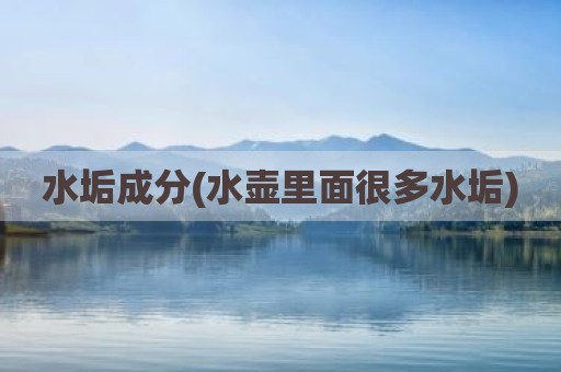 水垢成分(水壶里面很多水垢)